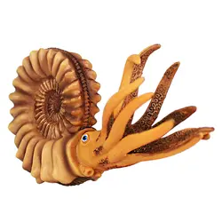 1 шт.. Морская моллюска модель моделирование пластиковая Морская жизнь цельная животная модель фигурка игрушка Nautilus модель для малышей Дети