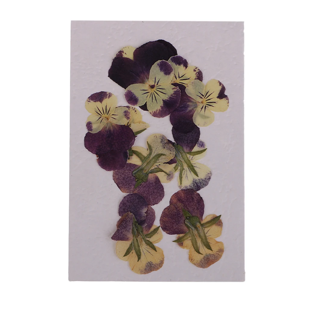 

10x Pressed Dried Pansy Flower Embellishment DIY Resin Pendant Jewelry Craft