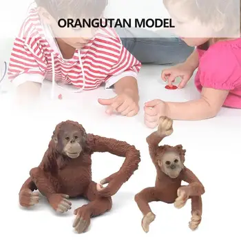

Mini PVC Simulation Static Wild Animal Orangutan Model Solid Toy Crafts