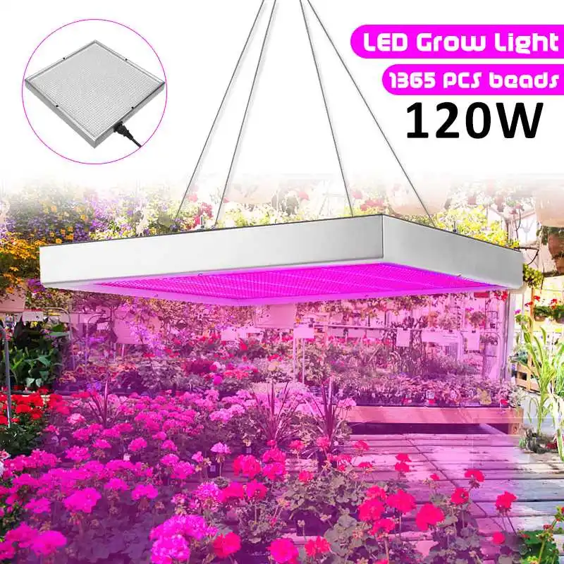 

Smuxi 120W LED Grow Light Full Spectrum Red+Blue Plant Lamp LED Bulbs for Indoor Garden Plants Flower Hydroponics Grow Lamp