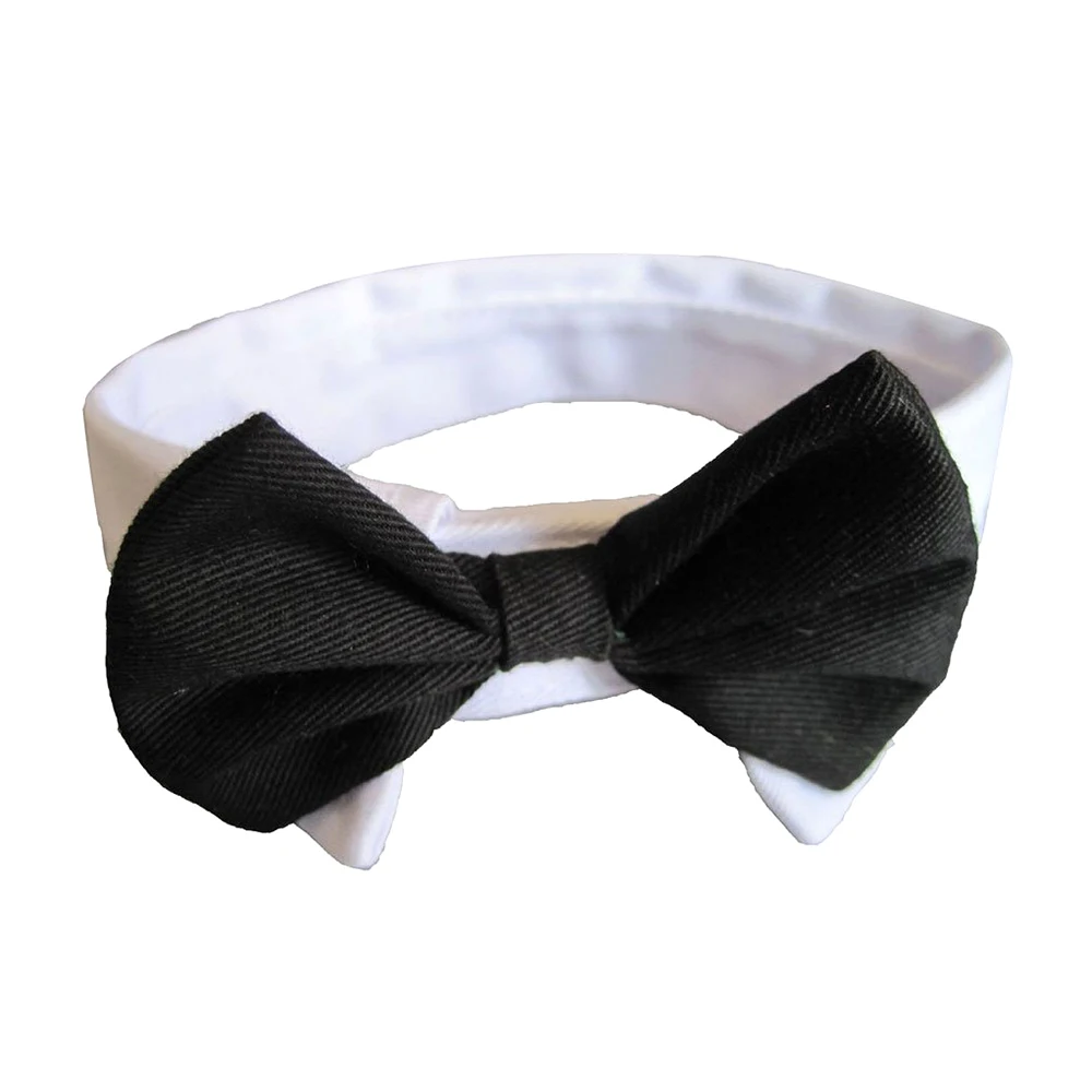 Promotion! Dog cat neck loop necktie bowknot black and white | Дом и сад