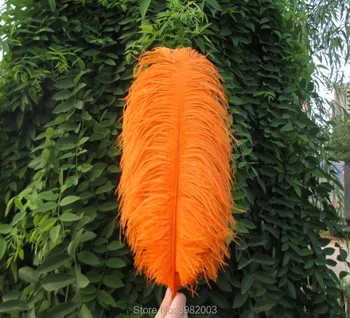 

100pcs orange ostrich feather 14-16 "/35-40cm DIY ostrich feather decoration stage performance
