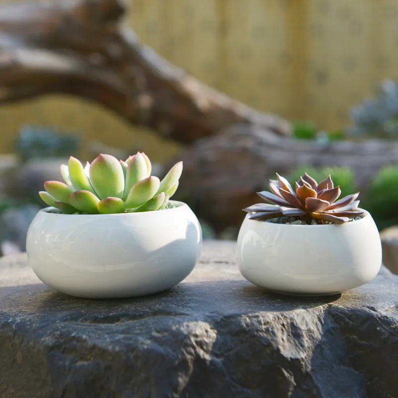 

Series Decorative Round White Ceramics Succulent Pot Porcelain Flower Pot House Decor