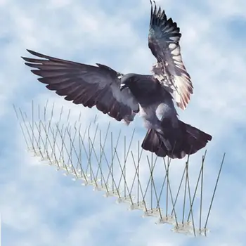 

6pcs Bird Repeller 50cm Environmentally Friendly Stainless Steel Pigeon Nails Anti-Bird Anti-Dove Spikes Pest Control Orchard Bi