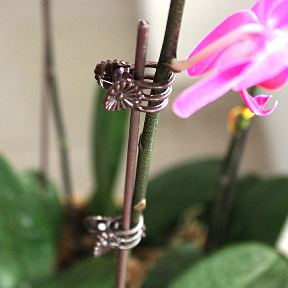 

100Pcs Plastic Vine Decoration Flower Plant Support Orchid Clips Stalks Fix Hanging Garden Grow Upright Stems Grafting Tool