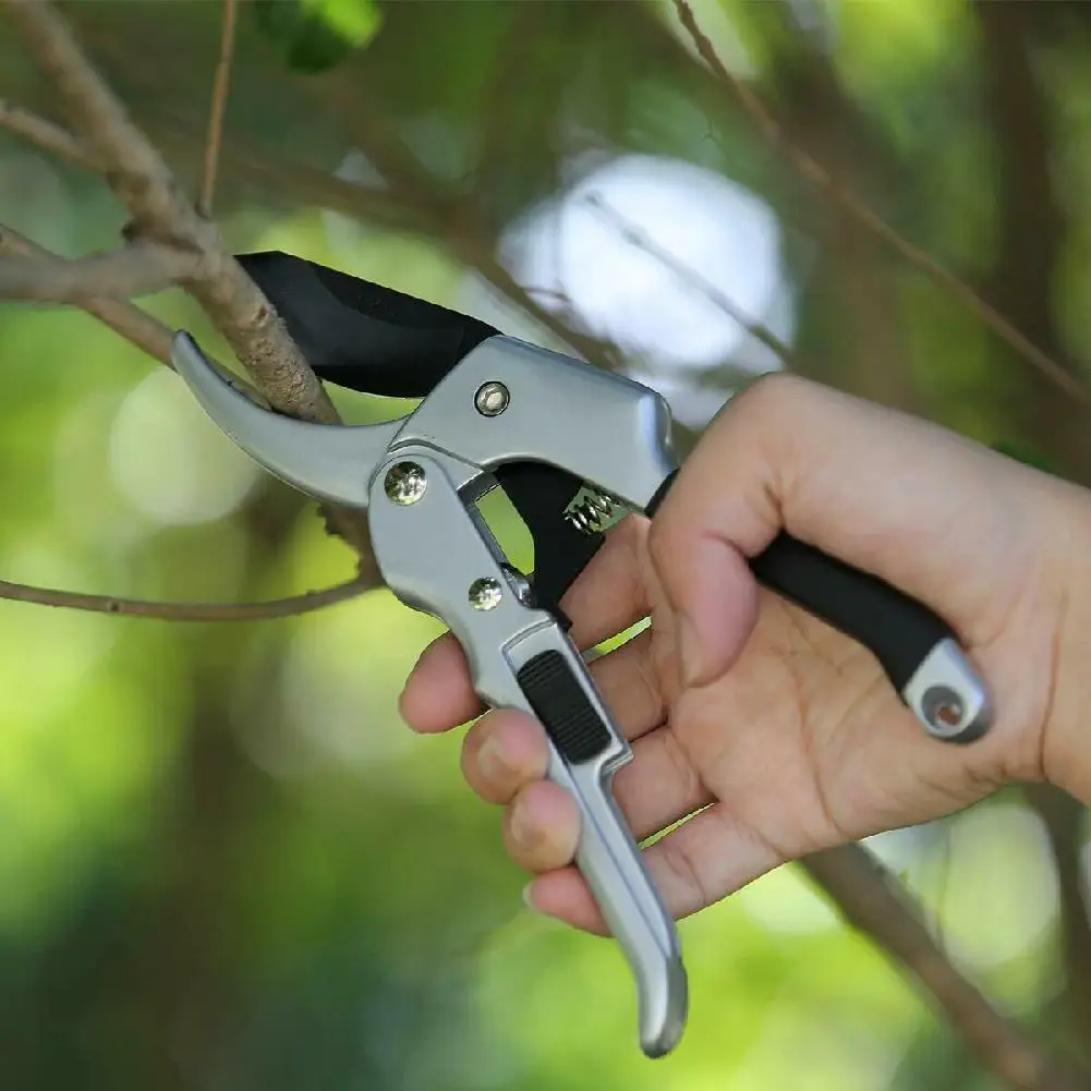 

Professional Garden Scissors Grafting Tool Fruit Tree Pruning Shears Garden Shears Secateurs Cutting Tool