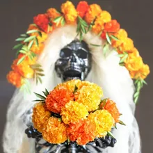 Day Of The Dead Decorations Pack Of 6pcs Marigold Pom Pom Flower For  Mexican Day Of The Dead Day Party