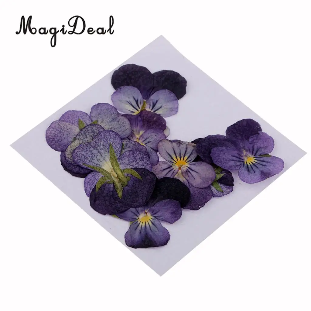 MagiDeal 12 шт. сушеные прессованные цветы для ювелирных изделий фоторамка чехол для телефона Скрапбукинг Ремесло фиолетовый цветок DIY аксессуары для изготовления