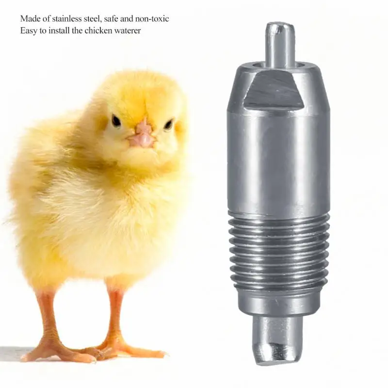 5 Pcs Set Stainless Steel Poultry Chicken Rabbit Automatic Water