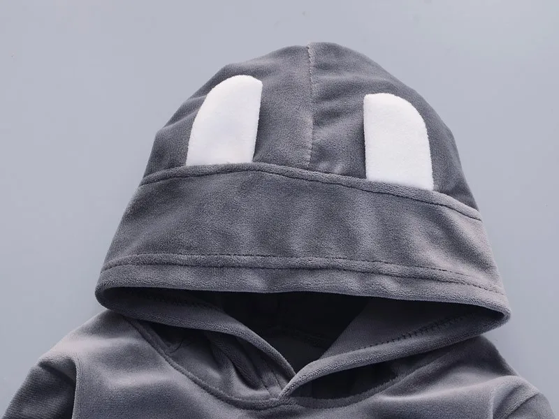 أزياء الأطفال بنين بنات كارتون الدعاوى ملابس الطفل المخملية هوديس السراويل 2 قطعة/مجموعة الاطفال الملابس الشتوية طفل رياضية