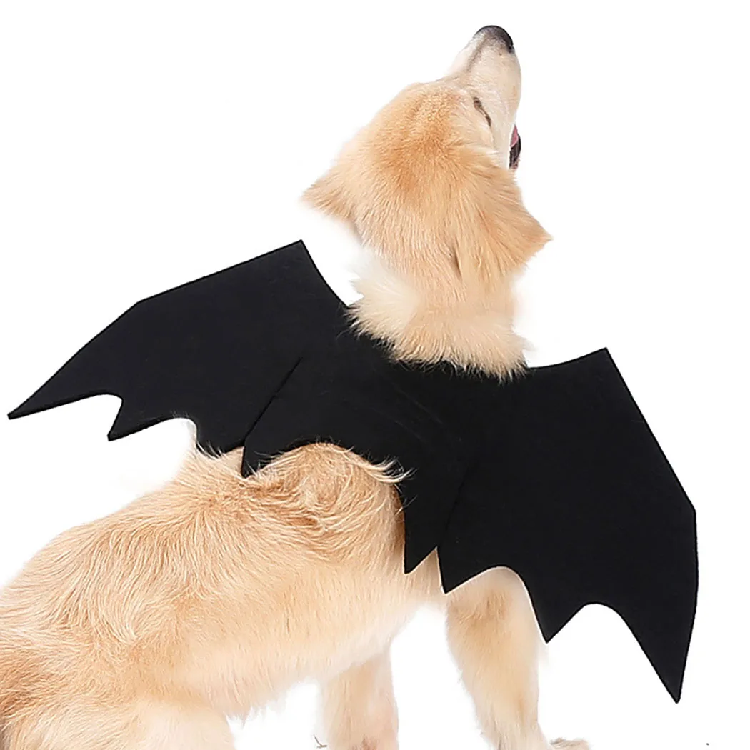 Забавный черный костюм для домашних животных на Хэллоуин, крылья летучей мыши, костюм кошки, вечерние костюмы для собак, косплей, несколько размеров на выбор