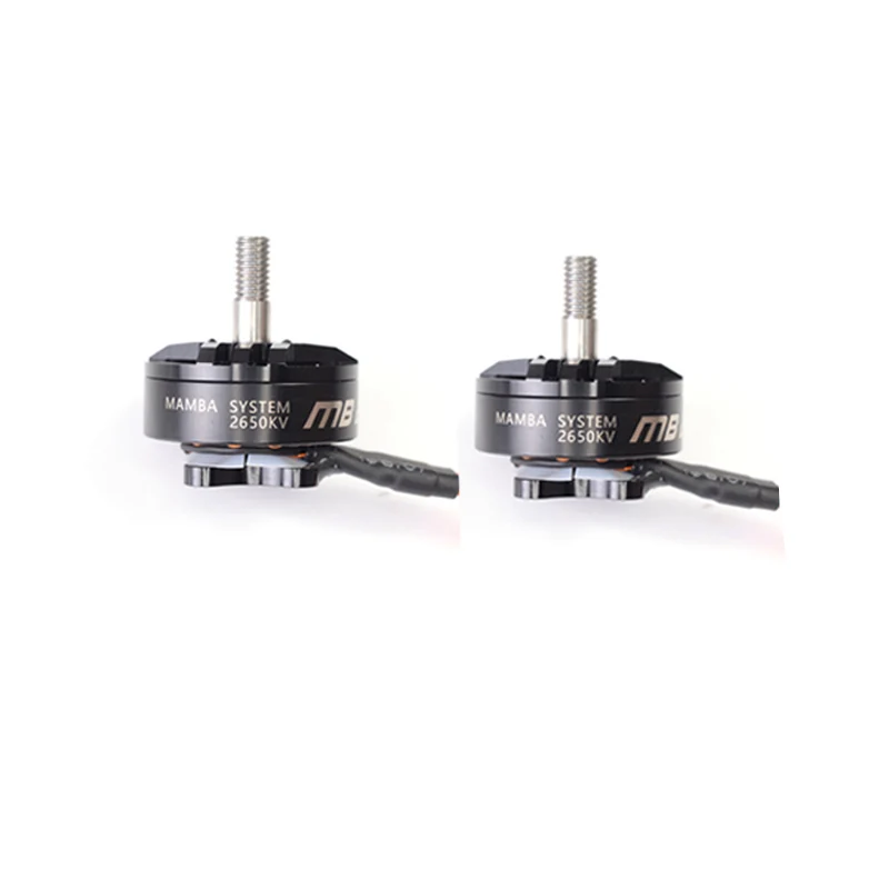 2 шт. Мамба 2207 1750/2650KV 4 6S CW резьба бесщеточный двигатель для 2019 GTR569 RC Дрон FPV