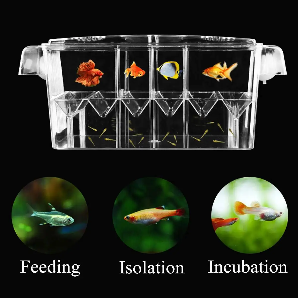 

Aquarium Incubator 4 Grides Breeding Isolation Box Fish Tank Hatching Transparent Boxes Multifunctional Acrylic Fish Tank Holder