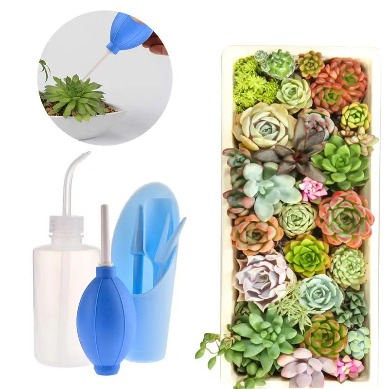 

6 PCS Gardening Tools Succulent Plant Planting Kit Garden Hand Tools Set Watering Bottles Mini Garden Bonsai Kit Garden Tool