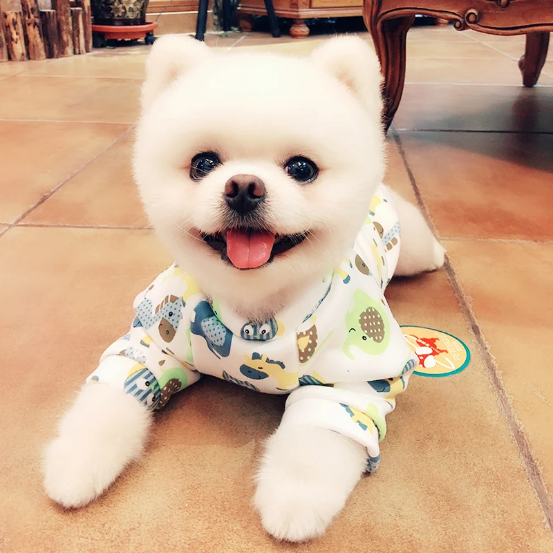 Pomeranian dog clothes xs Cartoon print pink blue clothes for dogs winter Pomeranian dog clothes coat abbigliamento per cani Pomeranian dog clothes xs Cartoon print pink blue clothes for dogs winter Pomeranian dog clothes coat abbigliamento per cani