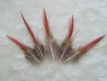 

100Pcs/Lot!2-4inches 5-10cm long Red Tipped Golden Pheasant Feathers,Red Craft Feathers for Masks,Jewelry Making,