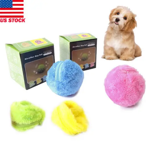 outdoor dog activity toys