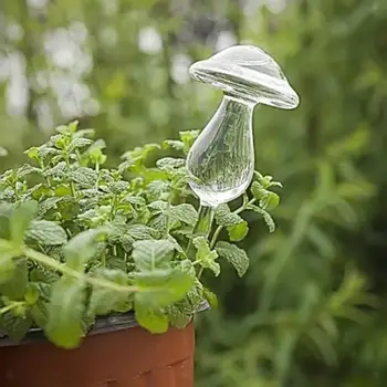 

1 PCS Self Watering Globe Plant Water Bulbs Hand Blown Clear Glass 3 Shapes New