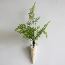 Конус подвесной стеклянный цветочный горшок ваза Террариум контейнер домашний сад Декор