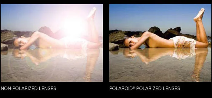Trade_BrochurePolarization[1]-3