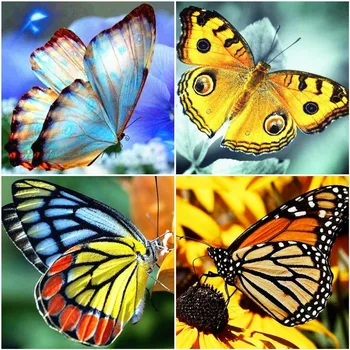 

EverShine DIY 5D Diamond Painting Full Square Butterfly Picture Rhinestones Diamond Embroidery Animals Cross Stitch Wall Decor