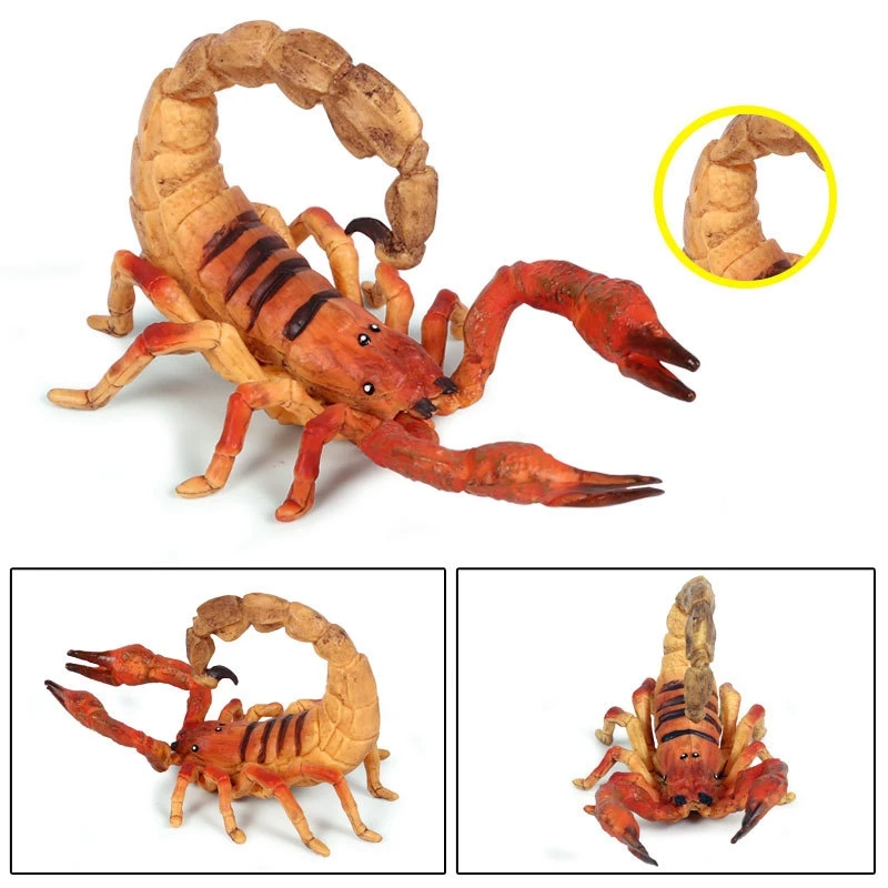 Детская имитация диких животных Скорпион насекомых приседания статическая цельная модель игрушки