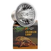 Reptile Lamp 25/50/75W UVA+UVB 3.0 Pet Heat Lamp Bulb Turtle Basking UV Light Bulbs Amphibians Lizards Temperature Controller 6