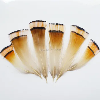 

Wholesale 200pcs 4-9cm Natural Pheasant Chicken Feathers For DIY mask hat show Carfts dress clothing Wedding Decorations plumas