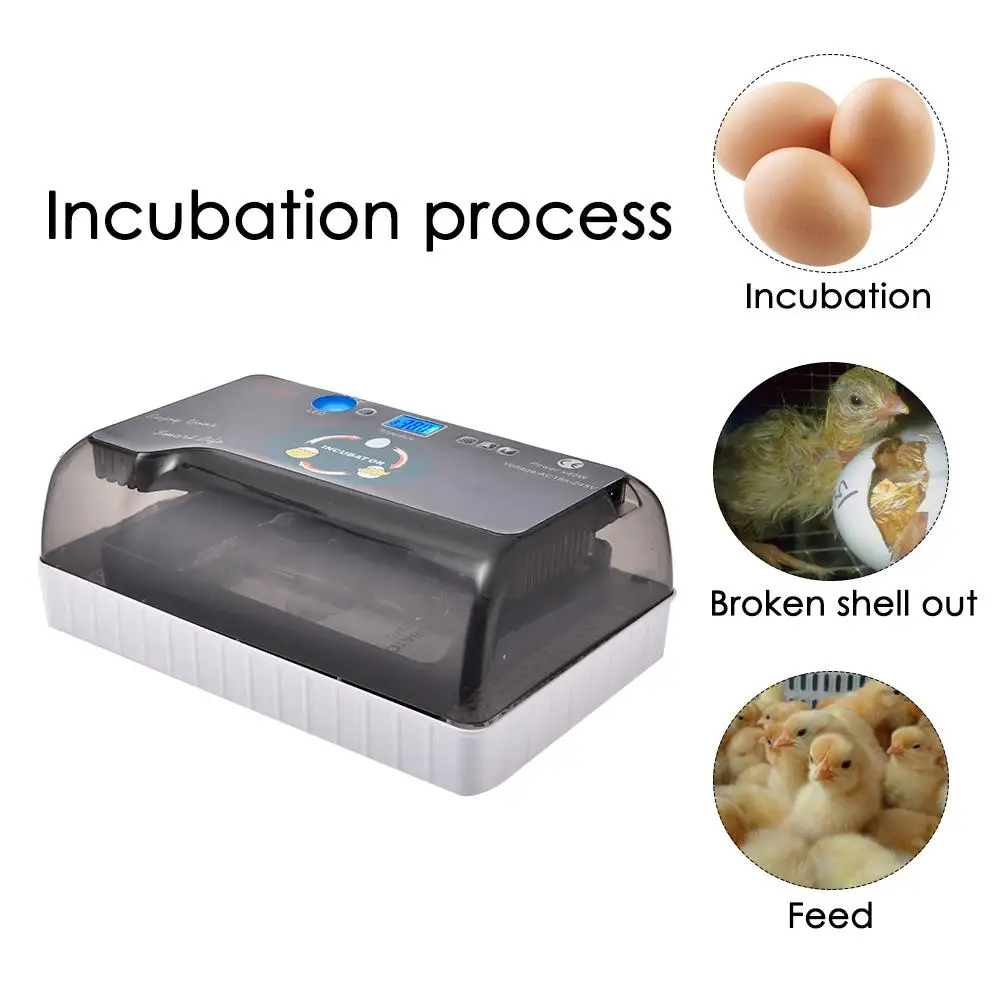 Incubator Egg Incubator Digital Fully Automatic Hatcher For Egg Duck Bird Turkey Egg Home Use Livestock Poultry Supplies New Incubator Egg Incubator Digital Fully Automatic Hatcher For Egg Duck Bird Turkey Egg Home Use Livestock Poultry Supplies New