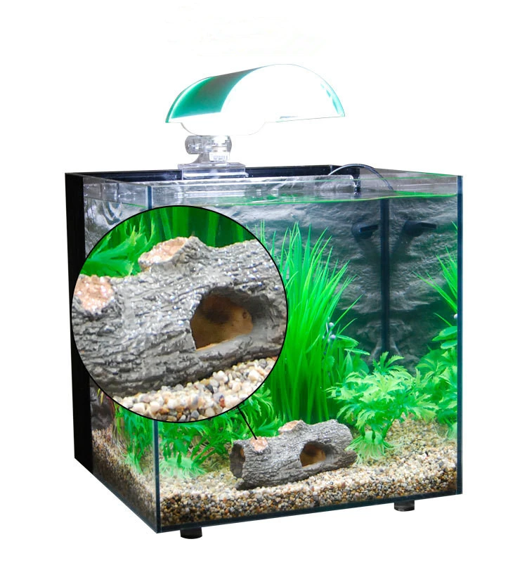 small size aquarium