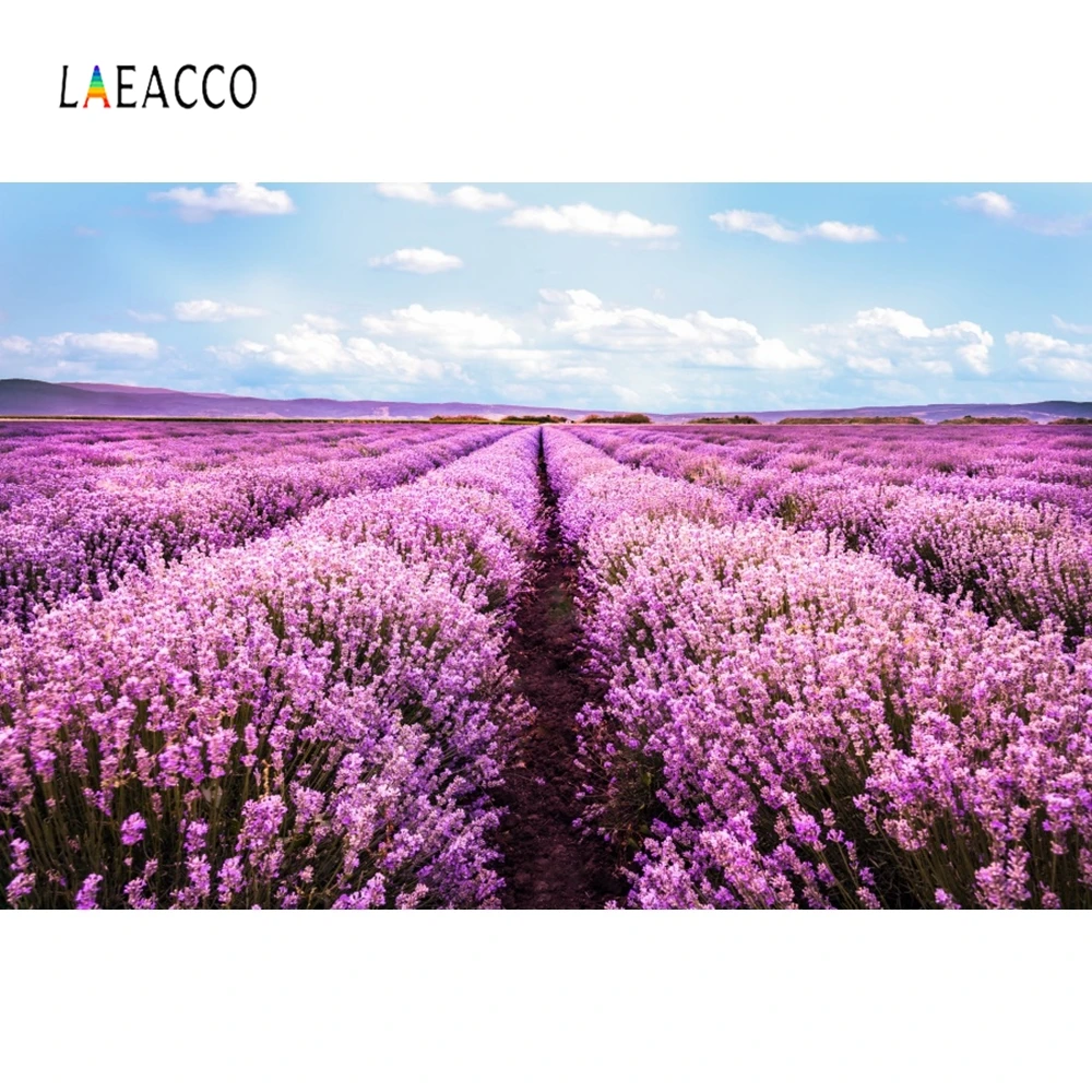 

Laeacco Provence Clover Flower Sea Sunrise Natural Photography Backgrounds Customized Photographic Backdrops For Photo Studio