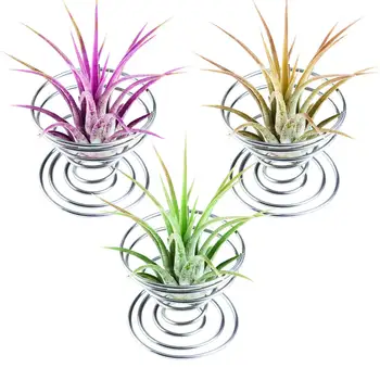 

12 Pieces Air Plant Holder Air Plant Tabletop Container Stainless Steel Wire Stand Plant Display Racks, Silver