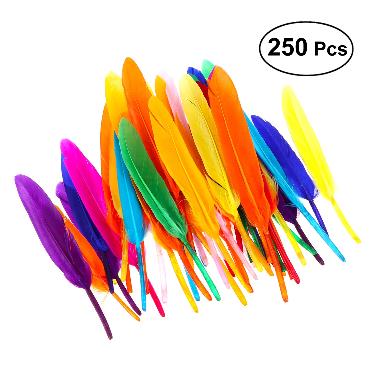 

250pcs/Pack DIY Nature Feather Home Decoration DIY Craft Bright Color For Students DIY Handmade Projects Home Decoration