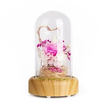 Роза стример бутылки светодиодный ночной Светильник Перезаряжаемые Беспроводной Bluetooth Динамик с цветком в Стекло украшения настольная лампа