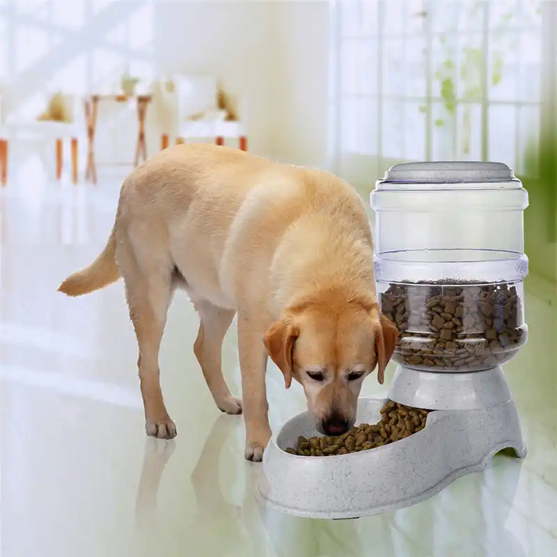 3 5l Large Dog Bowl Automatic Pet Feeder For Dogs Cats Food