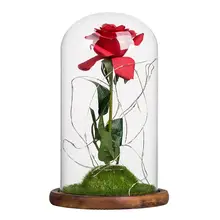1 стекло для ПК сохраненные свежими розами Романтический микро ландшафт мха освещение орнамент стекло светящаяся светодиодная гирлянда для спальни гостиной