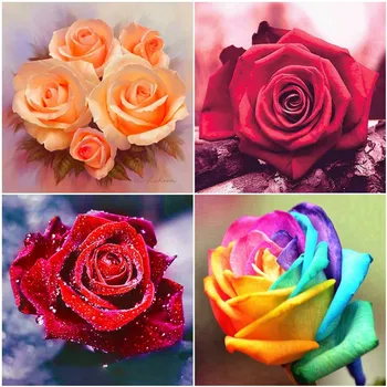 

HUACAN Diamond Embroidery Rose 5D DIY Diamond Painting Full Square Flower New Year Gift Home Decor Mosaic Art Craft Rhinestones