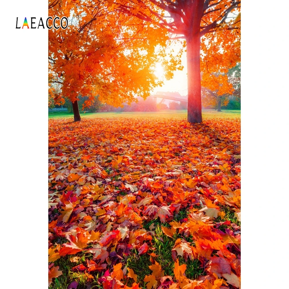 

Laeacco Autumn Tree Fallen Red Leaves Bench Backdrop Photography Backgrounds Customized Photographic Backdrops For Photo Studio
