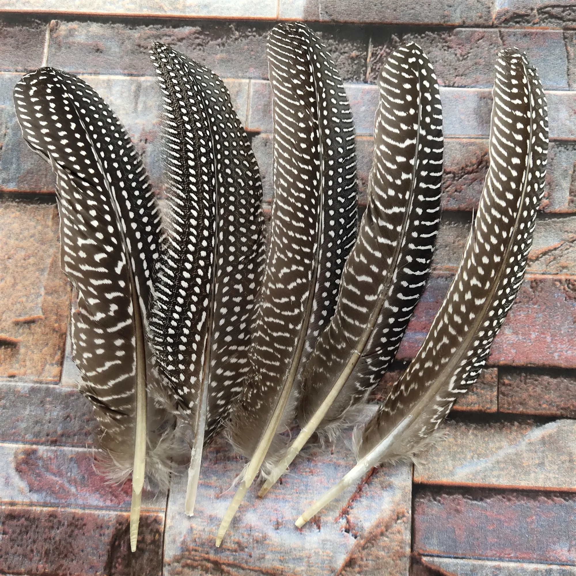 Wholesale perfect 50pcs high quality natural Pheasant feathers long 6