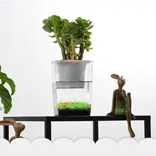 Мини-аквариум пакеты для хранения рыбы и овощей Симбиотическая водная трава ультра-Белый Настольный экологический пластиковый удобный аквариум для выращивания растений