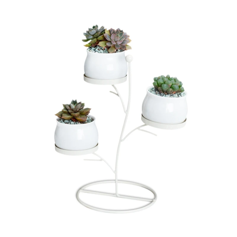

Hot Sale Plant Pot Succulent Plants Iron Frame Set Innovative Geometric Branches Small Round Ceramic Flower Pot Plant Stand