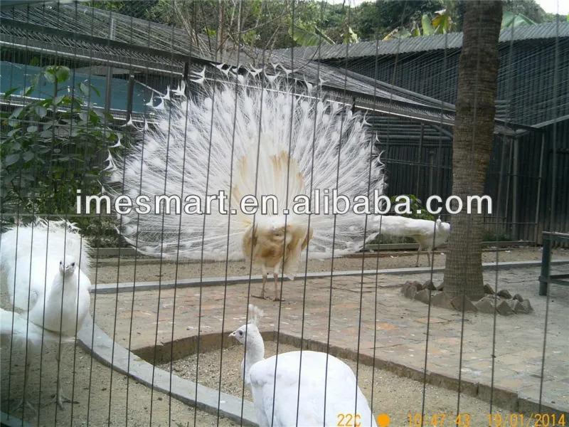 Application picture-2