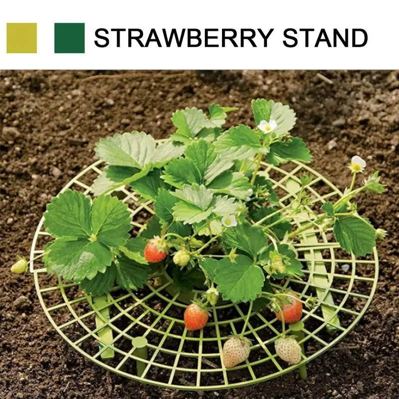 

Strawberry Frame Holder Balcony Planting Rack Fruit Support Shelf Plant Flower Climbing Vine Pillar Gardening Stand Round