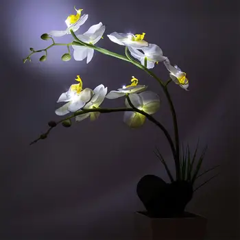 

9 LED Lights Simulate Phalaenopsis Pot Table Lamp with White Light Novetly LED Night Light for Home New Year's Decoration Lamp