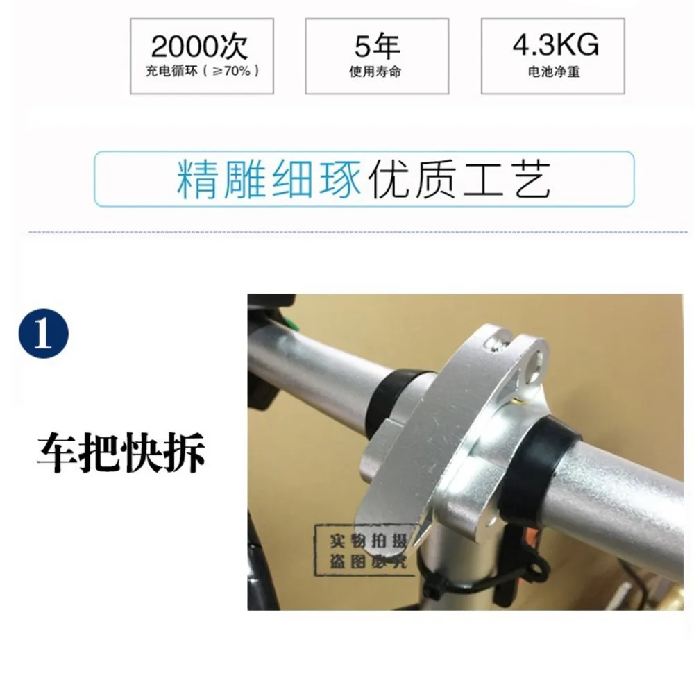Mountain Electric Bicycle Speed Fat Ebike 21 Snow 48 V Lithium Battery Hybrid Bicycle Motor Grease folding bike Aluminum