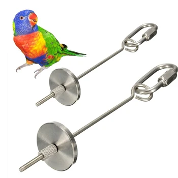 

Silver Fruit Fork Feeder Pet Products Stainless Steel Parrot Bird Bird Feeding Bird Supplies Vegetable Holder 12 20cm