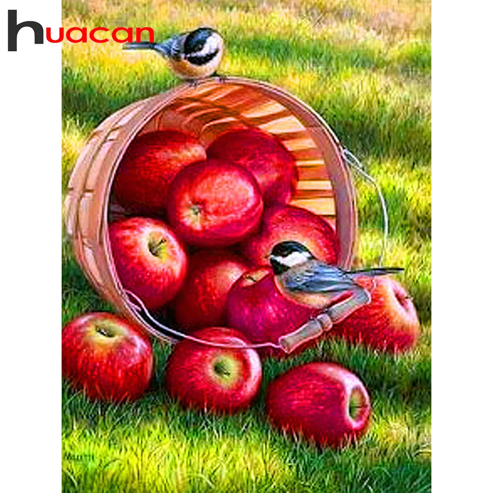 

Huacan Diamond Painting Plant Diamond Embroidery Full Display Apple Pictures Of Rhinestones Diamond Mosaic Sale Home Decoration