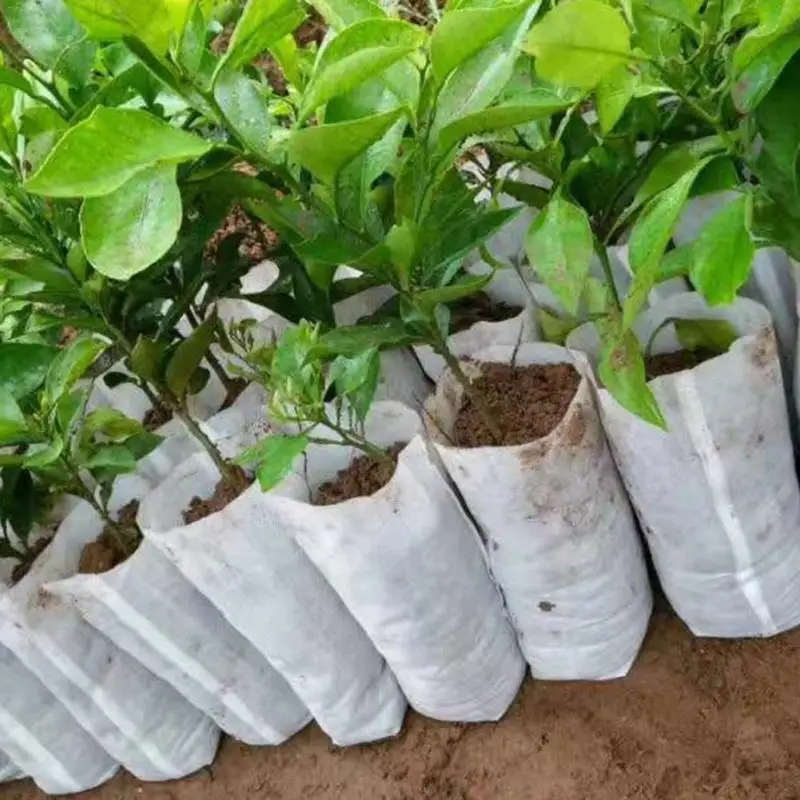 

100x Garden Nursery Germinate Grow Seed Seeding Pot Bag Non-woven Fabric 20*22cm Seedling-raising Pots Gardening Supplies
