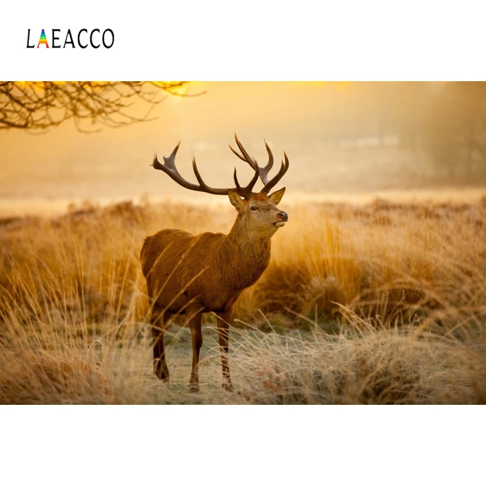 

Laeacco Field Cervus Canadensis Children Portrait Photography Backgrounds Customized Photographic Backdrops For Photo Studio