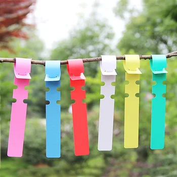 

100 Pcs Plant Markers Plant Label PVC Waterproof T-Shaped Plastic Orchid Label Ring Set Label Home Garden Supplies